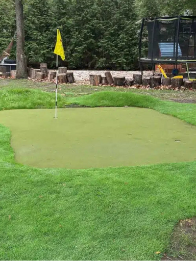 Golf putting green with a yellow flag in a backyard setting
