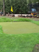 Golf putting green with a yellow flag in a backyard setting